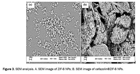 Synthesis And Characterization Of Zeolitic Imidazolate Framework