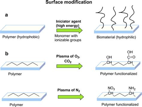 Surface Modification Of Polymers Using Ionizing Radiation Gamma Rays Download Scientific