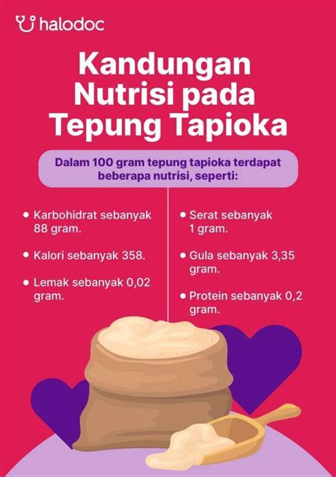 Tepung Tapioka Segala Sesuatu Yang Harus Anda Ketahui Versus Beda