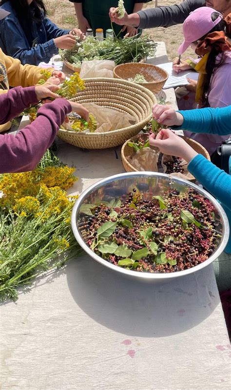 Natural Dyeing Techniques | nordicnorthwest