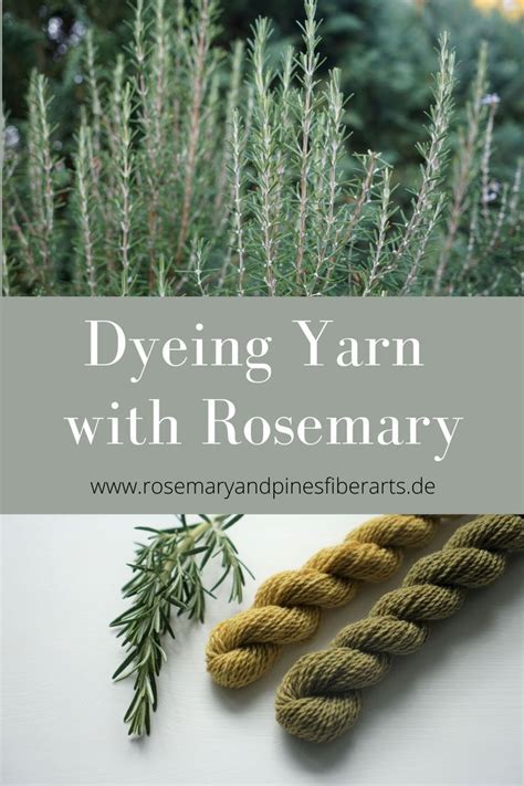 Dyeing Yarn With Rosemary Rosemary Pines Fiber Arts Fabric Dyeing