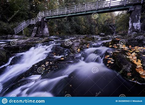 River Flowing Through A Forest Under A Bridge Stock Image Image Of