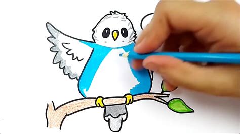 How To Draw A Bird Como Desenhar Um Passaro