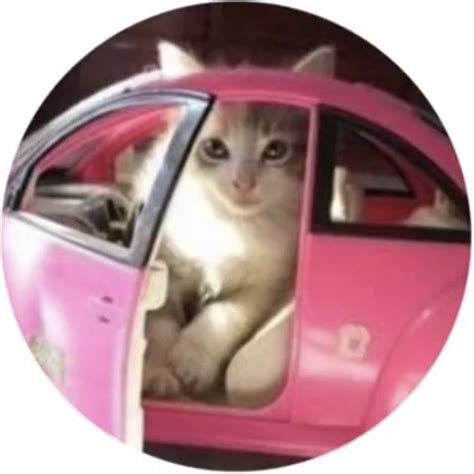 Round Icon Pfp Cute Cat Sitting Barbie Pink Car Ford 500 Lets Ride