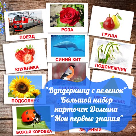Вундеркинд с пеленок, суперкарточки Домана скачать для распечатки