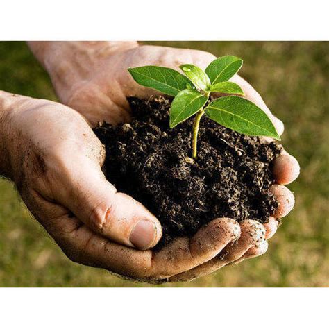 Organic Fertilizer For Agriculture Chemical Name: Ammonium Sulphate at ...