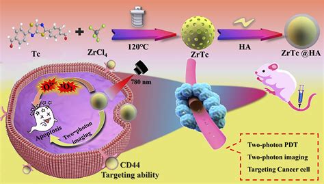 Hyaluronic Acid Modified Metalorganic Framework For Two Photon Imaging