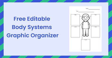 Free Editable Body Systems Graphic Organizer Examples EdrawMax Online