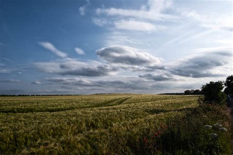 Fulbourn Field David Watts Flickr