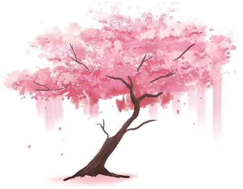 Sakura Rbol Agua Color P Talos Cae Png Dibujos Acuarela Cerezo