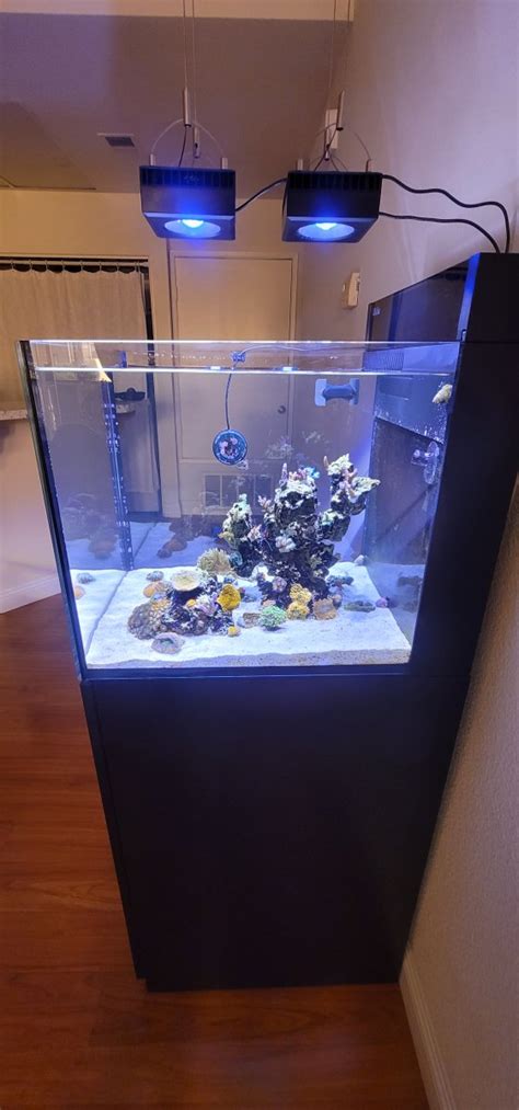 Nano Build - Show your nano aquarium here! | Page 150 | Reef2Reef