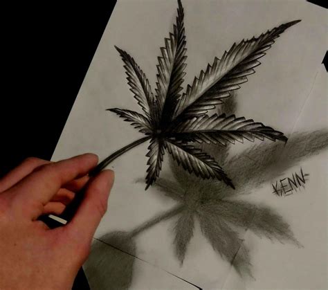 Weed Leaf Drawing at GetDrawings | Free download