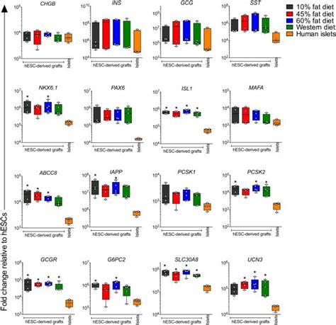 Gene Expression Profiles Are Similar For Hesc Derived Graft Tissues Download Scientific Diagram