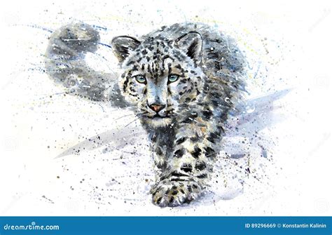 Snow leopard stock illustration. Illustration of watercolor - 89296669