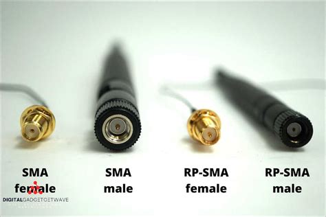 Understanding The Difference Female Vs Male Connector