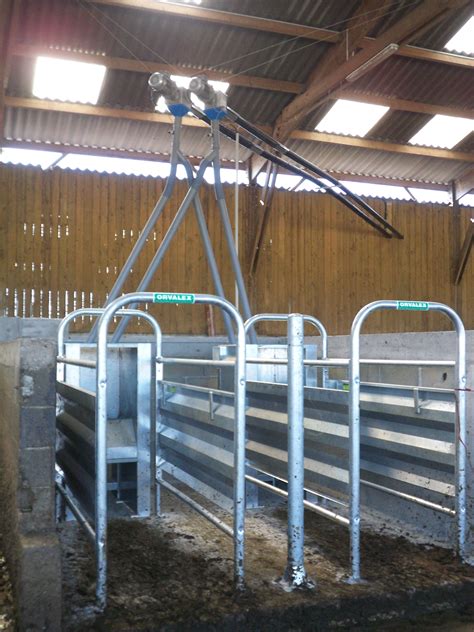 Dac Pour Vaches Laiti Res Orvalex Distributeur Automatique De