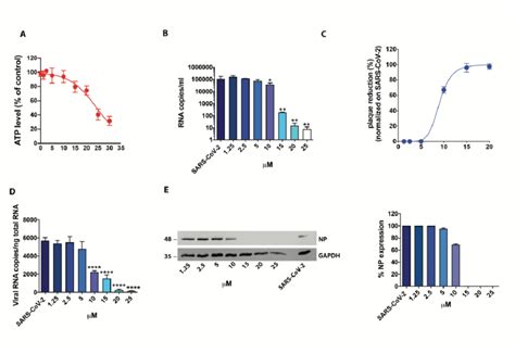 Effect Of Raloxifene On Calu Cells A Calu Cells Were Cultured