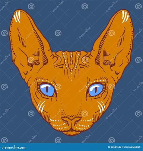 Hairless Sphinx Cat Face Graphics Outline Stock Vector Illustration