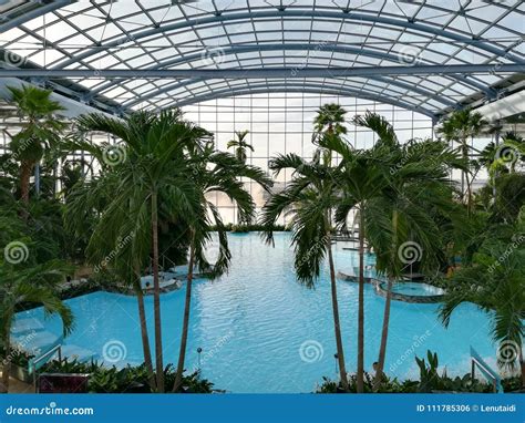 Therme Bucharest Palm Zone Editorial Photo Image Of Happy Resting