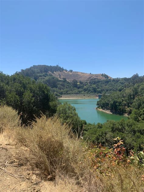 Bass Cove and Goldenrod Trail Loop - California | AllTrails