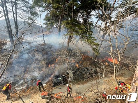 인천 서구 야산서 불1시간23분만 주불 진화 네이트 뉴스