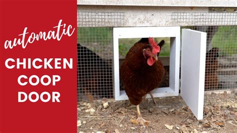 Diy Automatic Chicken Coop Door Wilker Do S1