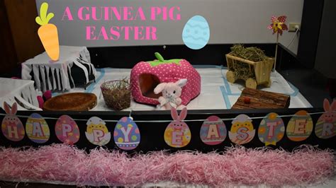 Guinea Pig Easter Youtube