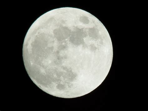 Fotos Gratis En Blanco Y Negro Atmósfera Natural Luna Llena