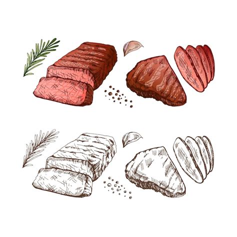 Premium Vector Hand Drawn Colored Vector Sketch Of Grilled Beef