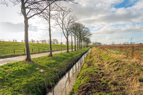 Colorful Dutch Polder Landscape Stock Photo Image Of Orange Green