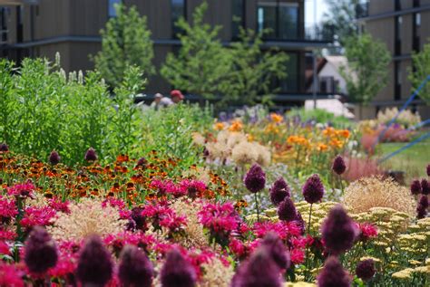 Service Bayerische Landesgartenschau