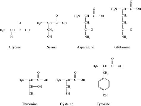 The Properties of Hydrophilic Polar and Non-Polar Molecules