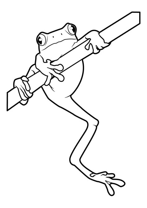 Coloriage Grenouille Coloriage Grenouilles Coloriages Animaux