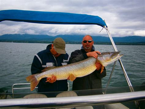 Brochet Record Les 20 Plus Gros Brochets De France