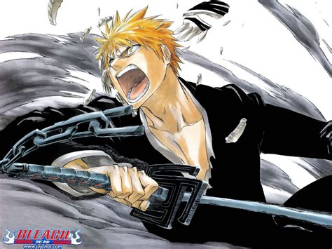 Bleach