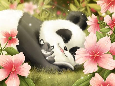 Симпатичные Panda и Cub HD Обои для рабочего стола: широкоформатные: высокое разрешение ...