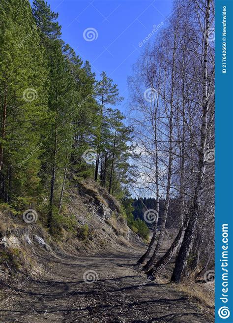 Rock Of White Gypsum In The Forest Near The River Oxbow Stock Photo