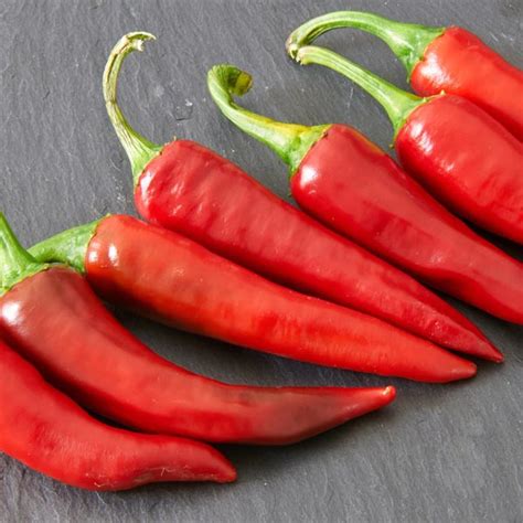 Chili Pepper Red Hot Capsicum Annuum MyGardenLife
