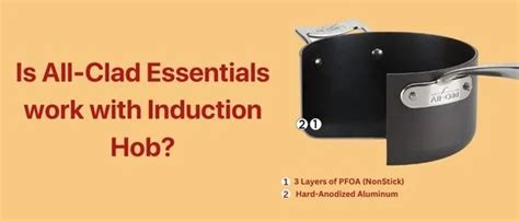 Does All-Clad work on Induction Cooktop? Comprehensive Guide