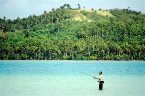 Saltwater Fly Fishing - Tips, Tackle & Techniques