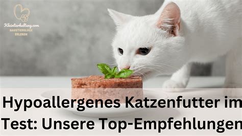 Hypoallergenes Katzenfutter Im Test Unsere Top Empfehlungen