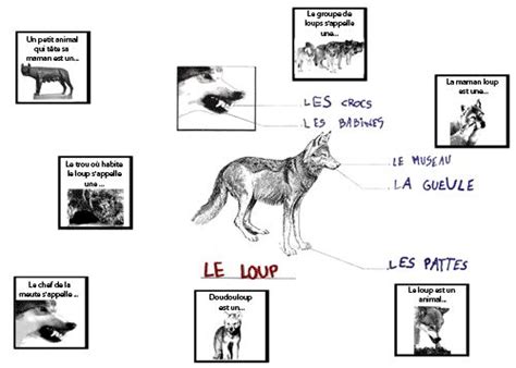 le site de l école des Peupliers Le Grand Nord Documentaire le