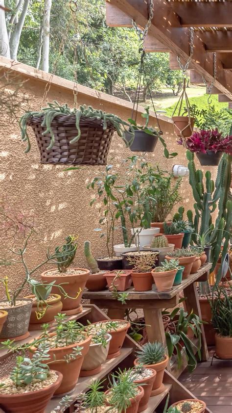 22 Greenhouse Shelving Ideas You Must Try Artofit