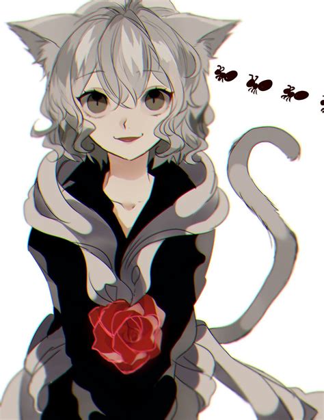 Pitou Hunter X Hunter Иллюстрации Милые рисунки Рисунки