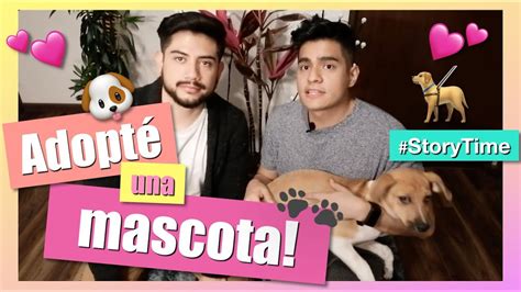 Tag De La Mascota C Mo Adoptar Un Perro Storytime Adopci N De