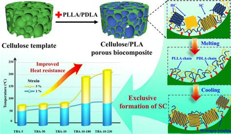 Formation Of 3d Cellulosestereocomplex Structure Sc Pla Porous