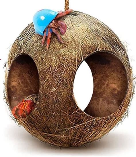 Sungrow Hanging Coconut Hide Hermit Crab And Crested Gecko Reptile