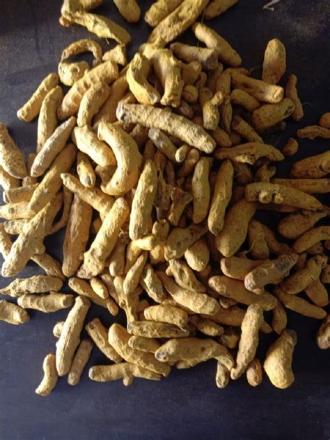 Curcuma Longa Salem Turmeric Finger For Medicine And Cooking Kg At