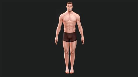 low poly male anatomy model - Buy Royalty Free 3D model by graft [09ab2fd] - Sketchfab Store