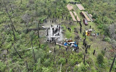 Sedema Recupera Tres Hect Reas De Suelo De Conservaci N En San Andr S